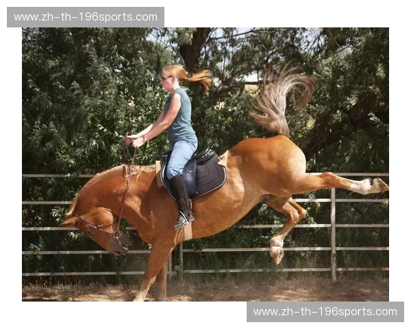 回放马术：把骑乘记忆反复回放，重塑你的骑士时刻